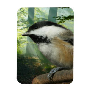 3x4 photo magnet