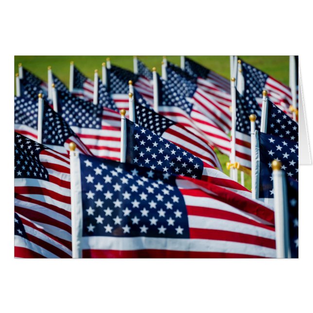 400 flags waving proudly in a field (Front Horizontal)