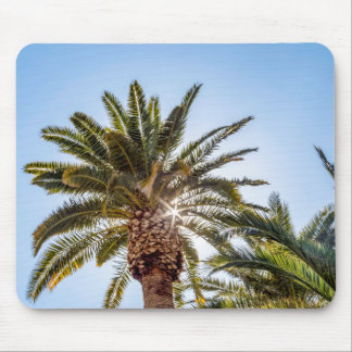 4024-Palm Tree with Sunburst Mouse Pad