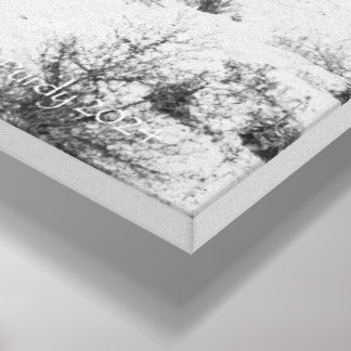 40 Mile Point Lighthouse Canvas Print