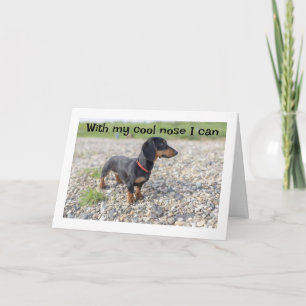 *40th BIRTHDAY* CAN SMELL IT A MILE AWAY! Card