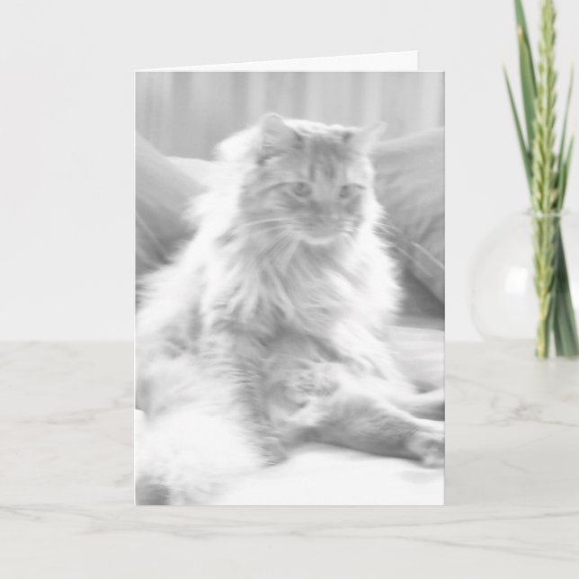 40th Birthday Cougar Card (Front)