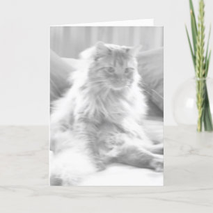 40th Birthday Cougar Card