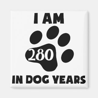 40th Birthday Dog Years Magnet