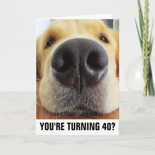 40TH BIRTHDAY FUNNY DOG GREETING CARDS (Front)