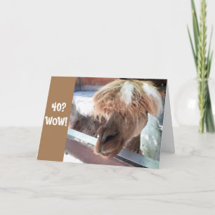 **40th BIRTHDAY** HAVE A HARD TIME BELIEVING IT! Card