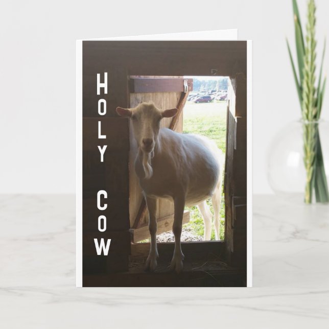 "40th BIRTHDAY??? JUST CAN'T BELIEVE IT Card (Front)