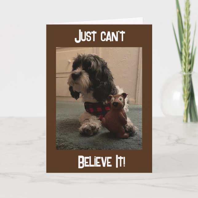 "40th BIRTHDAY??? JUST CAN'T BELIEVE IT Card (Front)