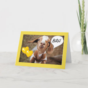 **40th BIRTHDAY** WISHES FROM A SILLY LITTLE GOAT Card