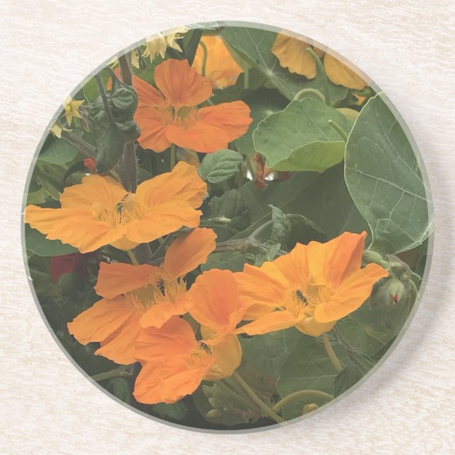 40th Wedding Anniversary Nasturtium alternative Coaster (Front)