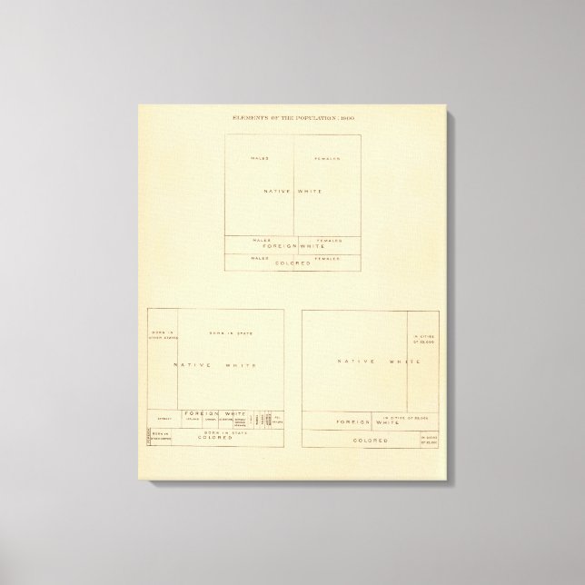 41 Elements of population 1900 Canvas Print (Front)
