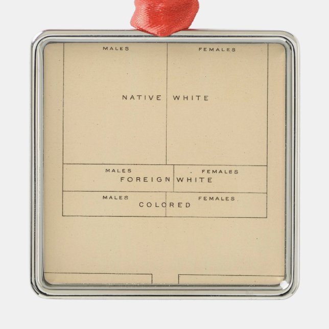 41 Elements of population 1900 Metal Tree Decoration (Front)