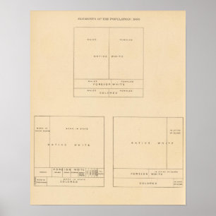 41 Elements of population 1900 Poster