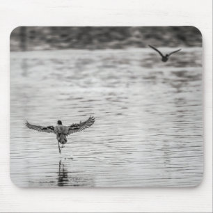 4297-Cormorant Taking Off from Pond Mouse Pad