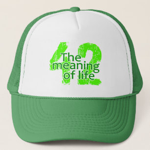 42 Meaning of Life hat