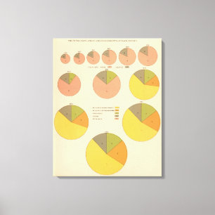 42 Population, elements 1790-1900 Canvas Print