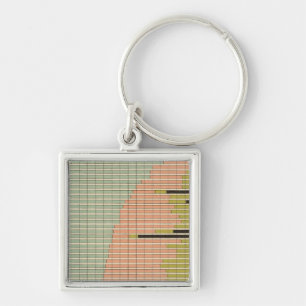 44 Constituents of cities 1900 Key Ring