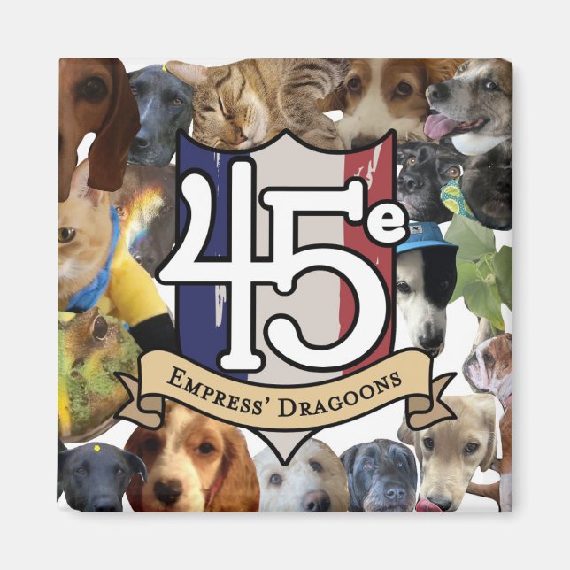 45e pets on your fridge magnet (Front)