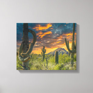4792-2-Desert Landscape at Sunset Canvas Print