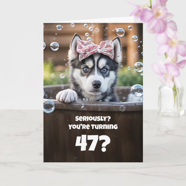 47th Birthday Cute and Funny Husky Dog in Tub Card (Orchid)