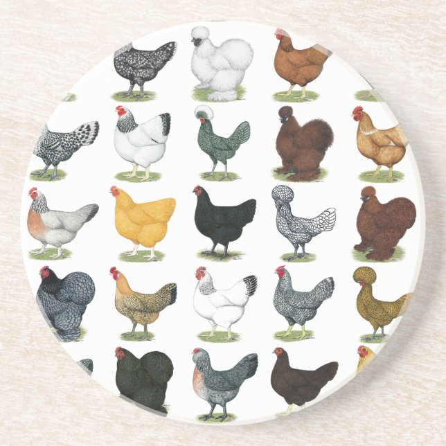 49 Chicken Hens Coaster (Front)