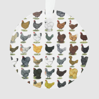 49 Chicken Hens Ornament