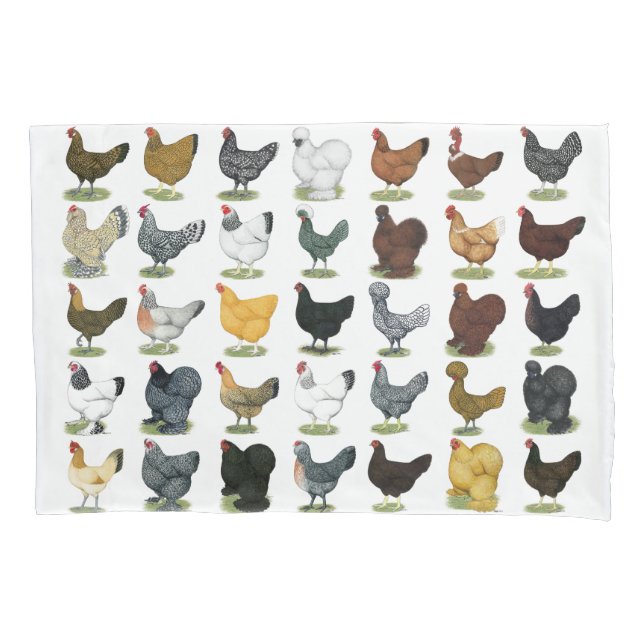 49 Chicken Hens Pillowcase (Front)