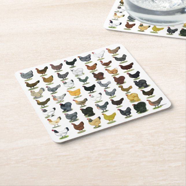 49 Chicken Hens Square Paper Coaster (Angled)