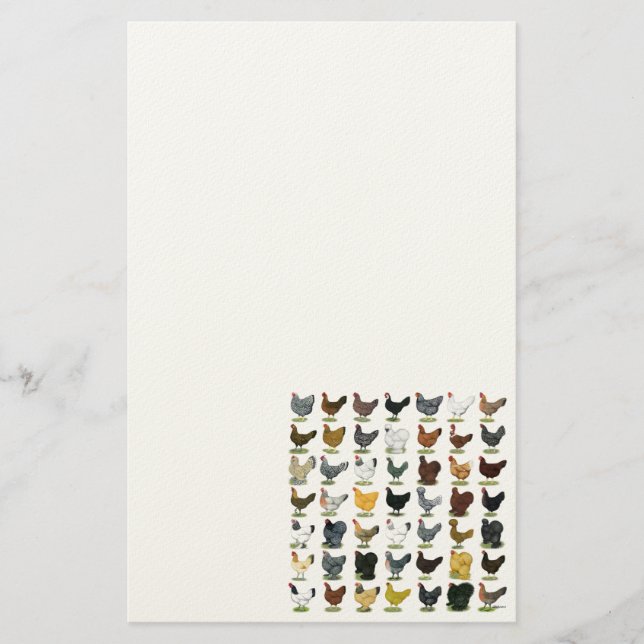 49 Chicken Hens Stationery (Front)
