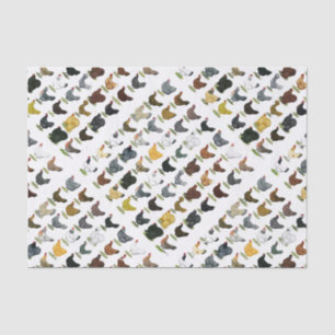 49 Chicken Hens Tissue Paper