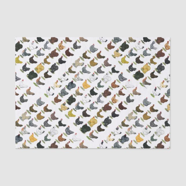 49 Chicken Hens Tissue Paper (Front)