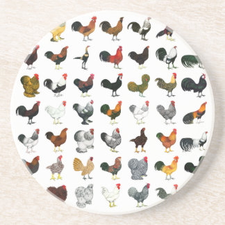 49 Roosters Coaster