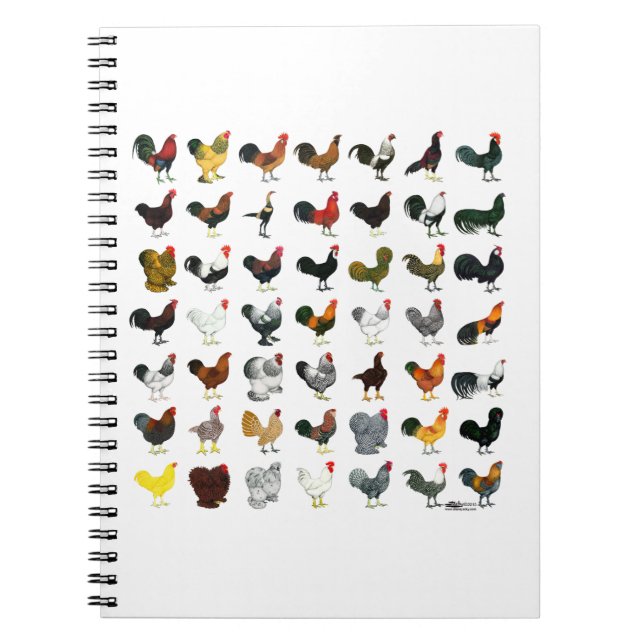 49 Roosters Spiral Notebook (Front)