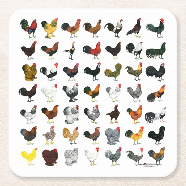 49 Roosters Square Paper Coaster (Front)