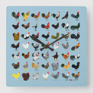 49 Roosters Square Wall Clock