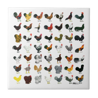 49 Roosters Tile