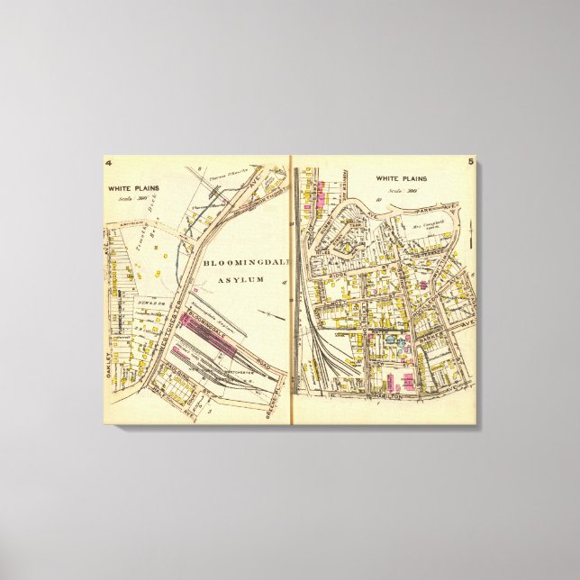 4-5 White Plains Canvas Print (Front)