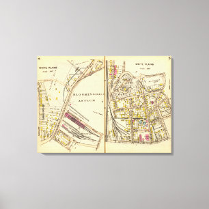 4-5 White Plains Canvas Print