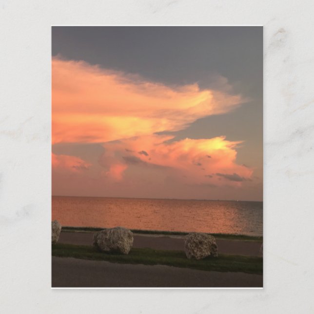 4.5" x 5.6" Flat Paper Sheet (Front)