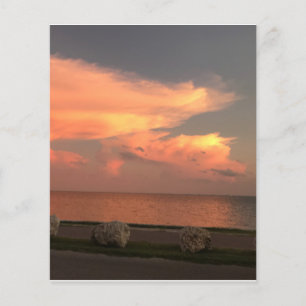 4.5" x 5.6" Flat Paper Sheet