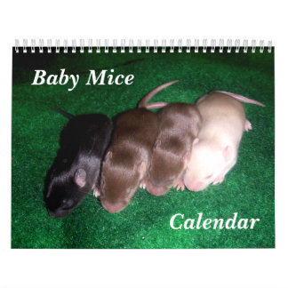4 Baby Mice Growing Up Calendar