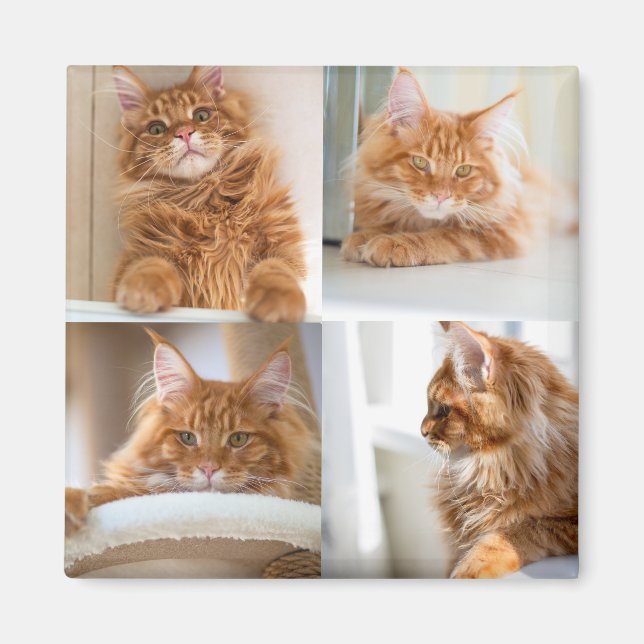 4 Four Photo Collage Full Magnet (Front)