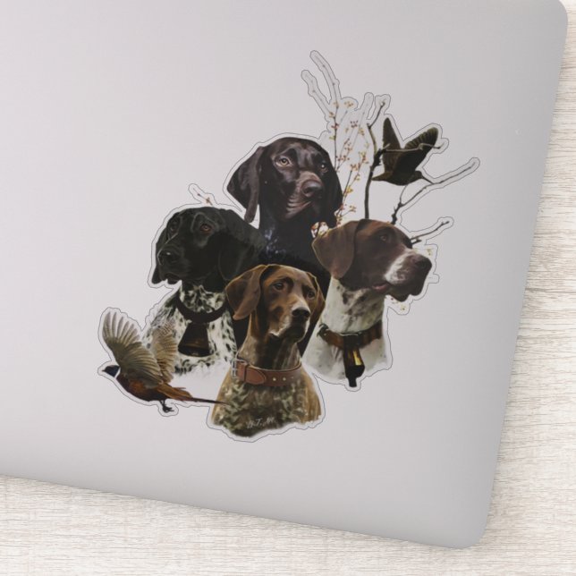 4 German Shorthaired Pointer Colours  (Detail)