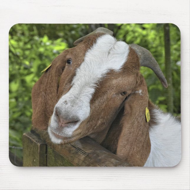 4-H Boer Goat Farm Mouse Pad (Front)