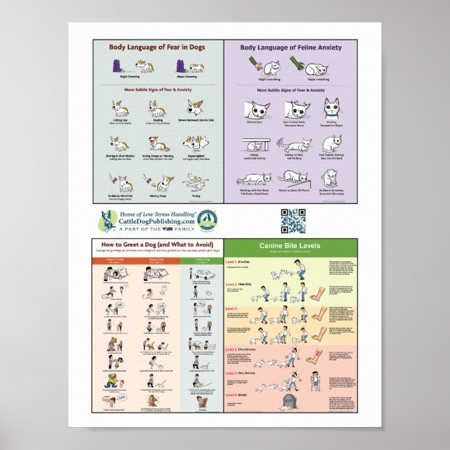 4 in 1 Poster (Front)