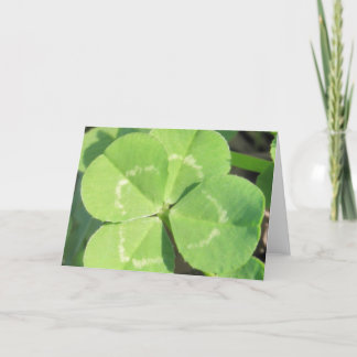 4 Leaf Clover Good Luck Charm Card