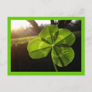 4 Leaf Clover Postcard