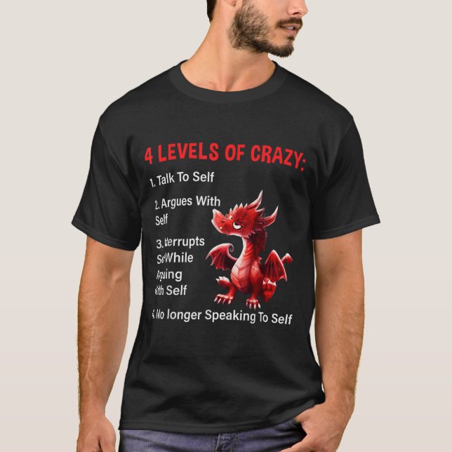4 Levels Of Crazy Talks To Self Argues With Self D T-Shirt (Front)