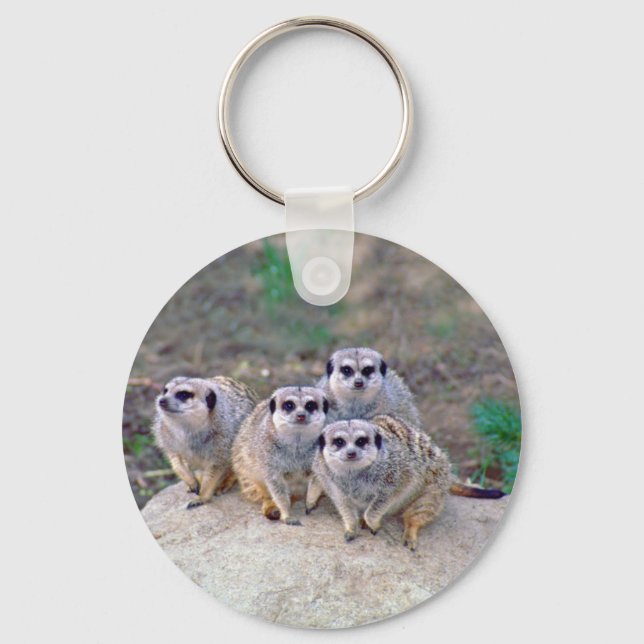 4 Meerkats Peering Keychain (Front)