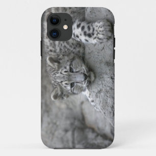4 month old Snow leopard cub draped over a rock Case-Mate iPhone Case